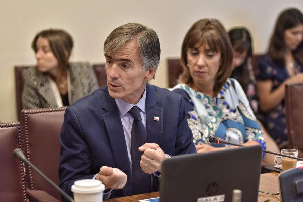 Valente por impuesto a la economía digital: “Necesitan comportarse como buenos ciudadanos corporativos”
