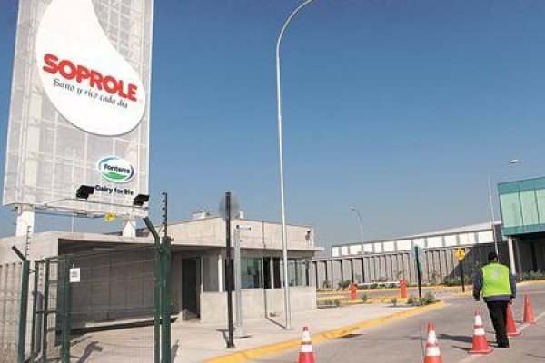 Fonterra sale al paso de los rumores y descarta venta de su filial Soprole: "No es parte de las desinversiones"