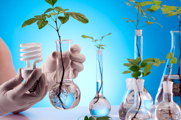 Se abre postulación a premio a la innovación, investigación y educación de APEC