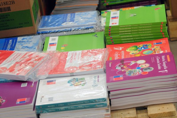 FNE descarta ilícitos en mercado de textos escolares, pero recomienda mejoras
