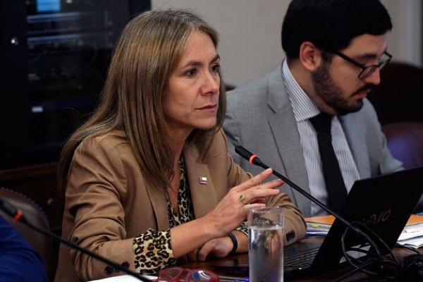 Jiménez se defiende ante demanda por cobro de boletas de garantía por Cardones-Polpaico