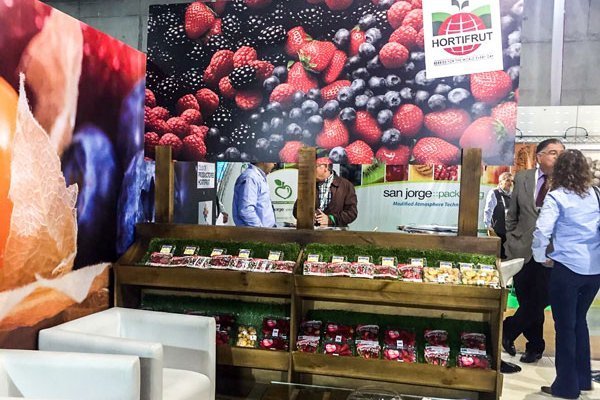 Hortifrut anuncia aumento de capital por US$ 160 millones para financiar posibles compras