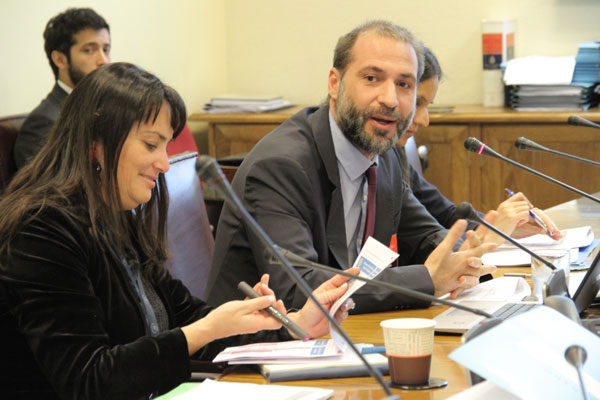 Gobierno aplaza una semana indicaciones a nuevo INE: afinará redacción junto a los senadores