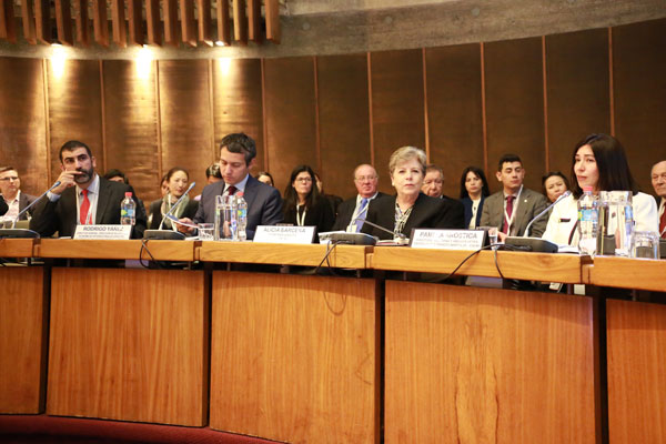 <p>Direcon recalca importancia del comercio con Asia Pacífico en seminario de Cepal</p>