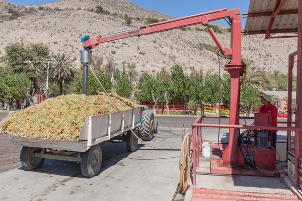 La nutrida agenda que viene en la guerra del pisco
