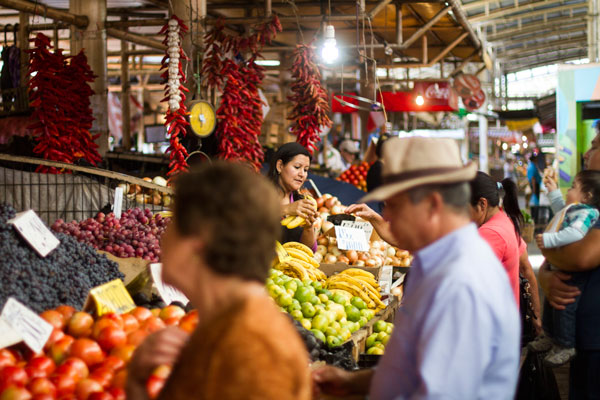 Positivo balance de temporada: aumenta el volumen exportado de fruta fresca