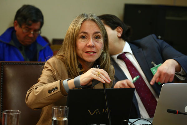 Ministra de Energía defiende medidas por medidores