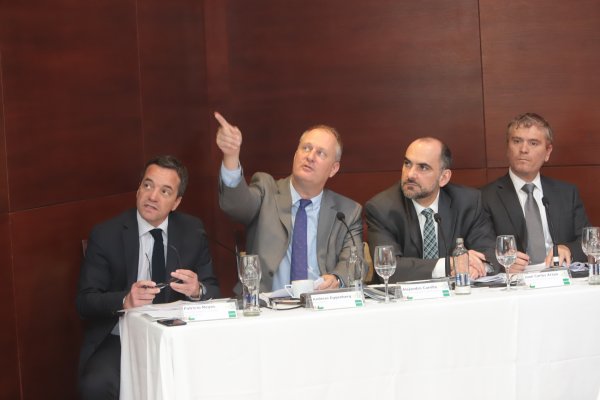 Masisa recibirá primeras ofertas por activos forestales en un mes y ve “serio interés” de empresas y fondos