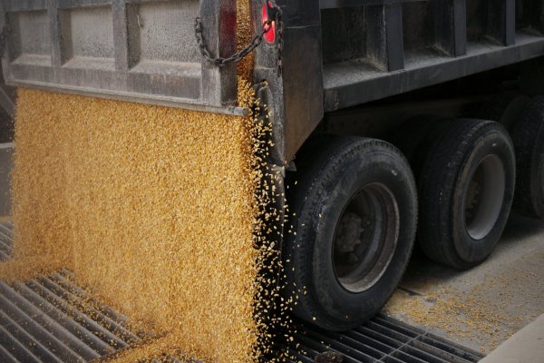 Paraguay recorta proyección del PIB de 2019 a 3,2%, por menor producción soya
