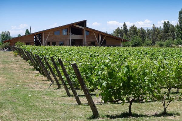 Emiliana: “Chile es uno de los mejores mercados para la cultura del vino fino”
