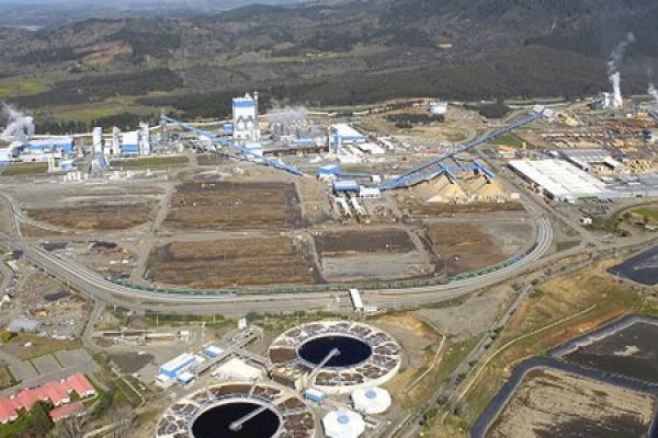 Inversión para los sectores de industria y forestal sube más de 12% y alcanza máximos en dos años
