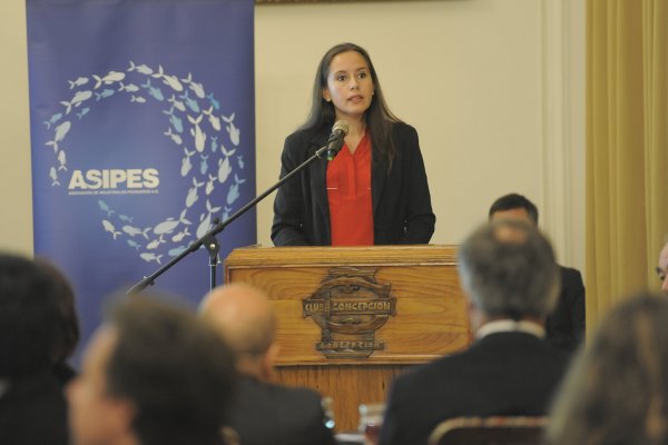 Asipes contra Ley Corta de Pesca: "Es inconstitucional, expropiatoria para las empresas y no beneficia a los artesanales"