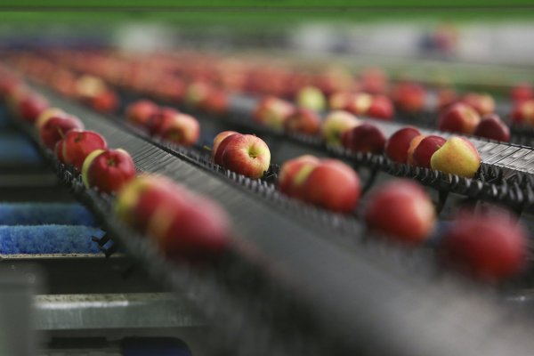 Exportaciones de fruta fresca crecen casi un 10% en la temporada 2018-2019