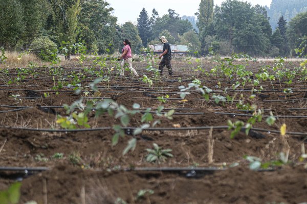 Gobierno refuerza plan ante escasez hídrica e impulsa masivo programa para infiltración de napas