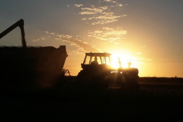 China contraataca: detiene sus compras de soya a EEUU