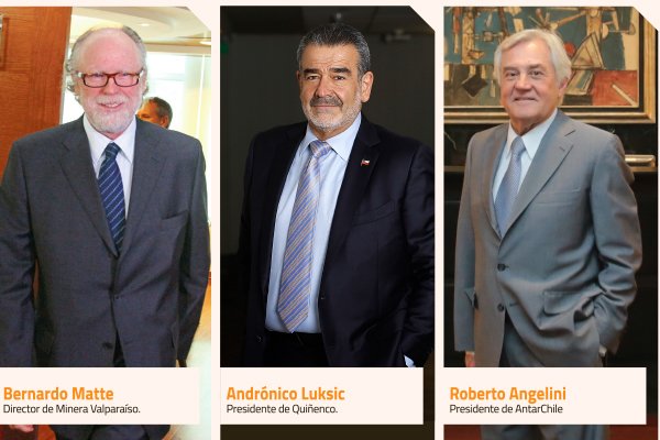 Celulosa impactó resultados de grupos Matte y Angelini, mientras Luksic recibió impulso del negocio naviero