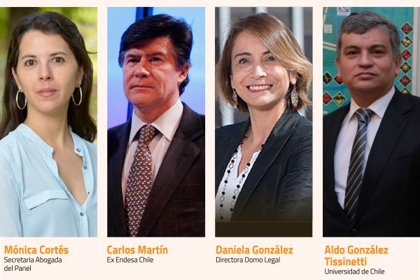La encendida carrera por los tres cupos que se abrieron en el Panel de Expertos Eléctrico