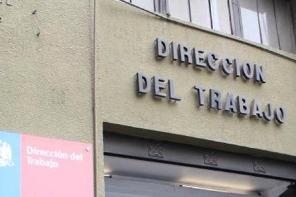 Gobierno presentará en julio modernización de la DT