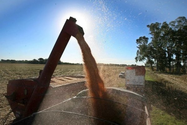 Actividad económica de Argentina sube y exportaciones alcanzan mayor nivel desde 2015