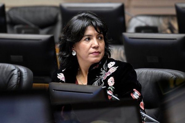 <p>Senadora DC propone nuevo acuerdo opositor para destrabar la economía y superar el "estancamiento"</p>