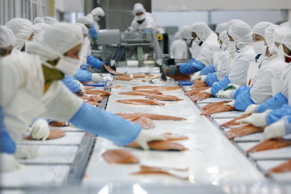 Sernapesca suspende certificación de Nova Austral