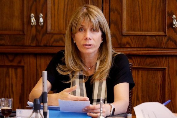 Senadora Rincón pide la renuncia del director del INE