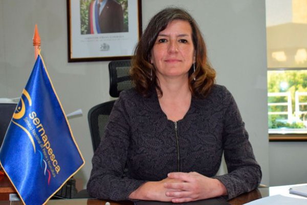 Sernapesca suspende certificación a salmoneras en Magallanes tras caso de Nova Austral