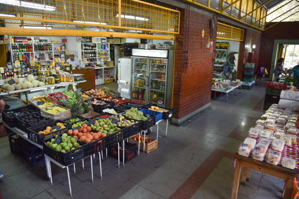 El mercado se ubica en el sector de la avenida Providencia y Santa Beatriz. / Foto: Patricio Valenzuela