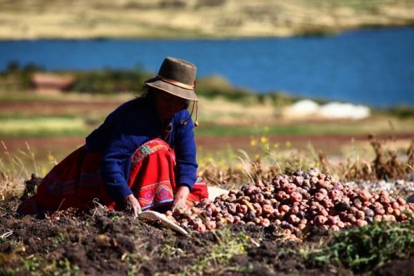 Gobierno peruano propone seguir "ejemplo de Chile" para potenciar al agro a través de la minería
