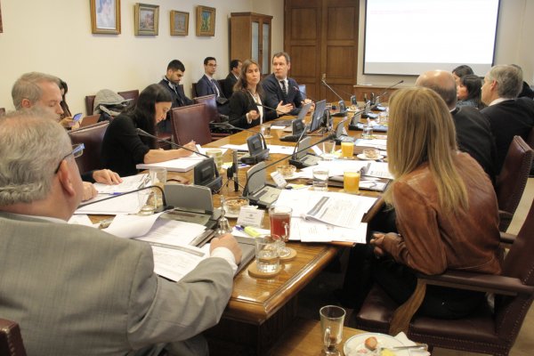 <p>La directora del INE entre 2014 y 2018, Ximena Clark, fue invitada a exponer a la comisión de Economía del Senado. / Foto: Senado</p>