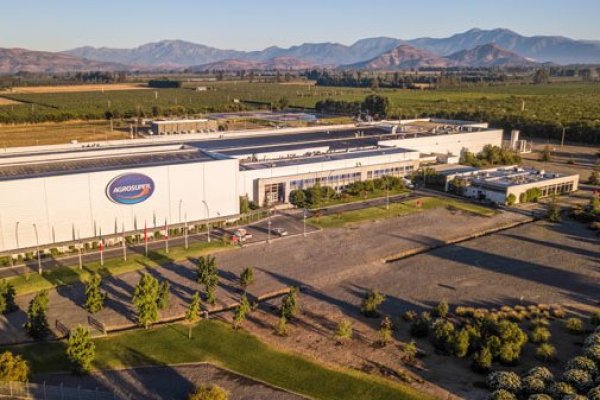 Agrosuper explora ingreso al mercado de alimentos caninos