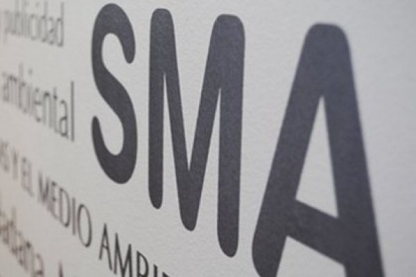 Proceso para definir sucesor de Franz en la Superintendencia de Medio Ambiente entra en recta final
