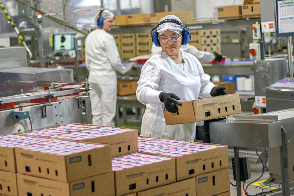 Productividad en Chile se encamina hacia un retroceso este año