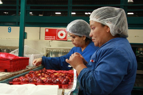 Cadem y Barómetro del Trabajo revelan alto apoyo a proyecto que reduce la jornada laboral a 40 horas