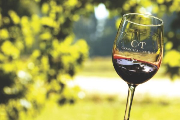 <p>Viña Concha y Toro concreta colocación de bonos en el mercado local por US$ 78 millones</p>