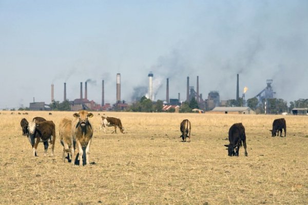 Expertos de la ONU llaman a cambiar la dieta para frenar el cambio climático