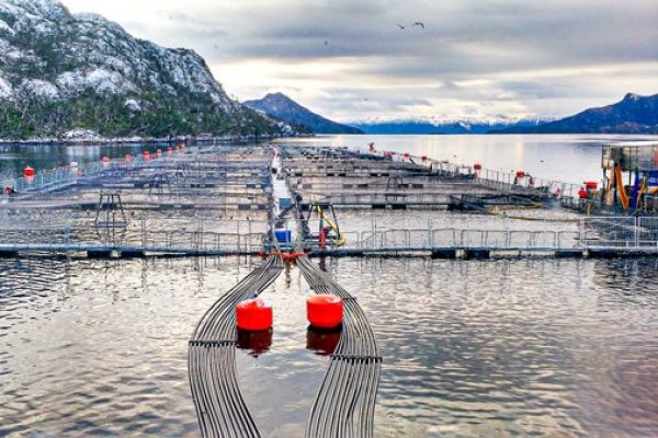 La Ley navarino busca potenciar la inversión en la zona austral.