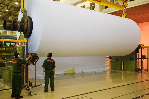 Productores de celulosa aplazan para 2020 sus expectativas de lograr repunte en precios