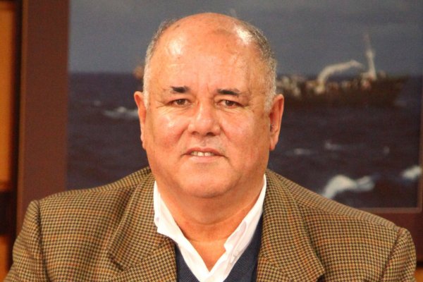 Ley de la Jibia: perdió Chile
