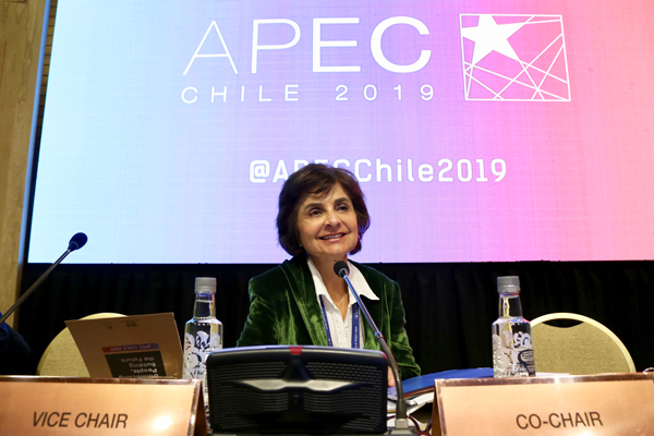 Discusión del grupo de salud de APEC giró en torno a envejecimiento, salud mental y obesidad infantil
