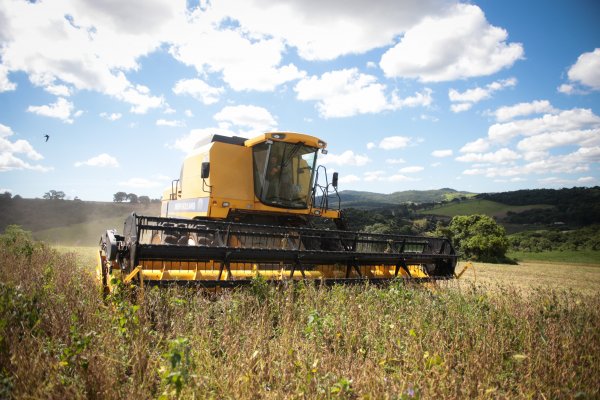 Servicios, los ganadores del primer semestre; agro, minería e industria los perdedores