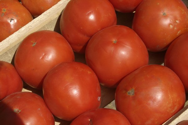 <p>Humo blanco: México y EEUU logran acuerdo en comercio de tomates</p>