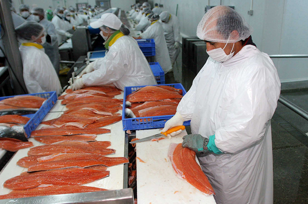 Nova Austral arriesga sanciones de hasta US$ 24 millones por cargos de la SMAL