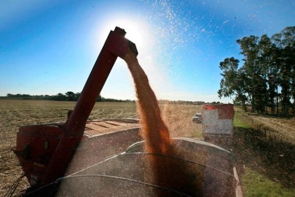 El agro creció 47% en el mes y fue el sector que mayor incidencia positiva tuvo sobre la economía.