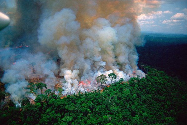 Fake de la semana: Las fotos falsas que dejó el incendio en el Amazonas