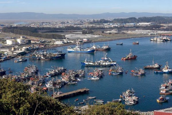Diputados de oposición buscan eliminar pesca de arrastre en la merluza