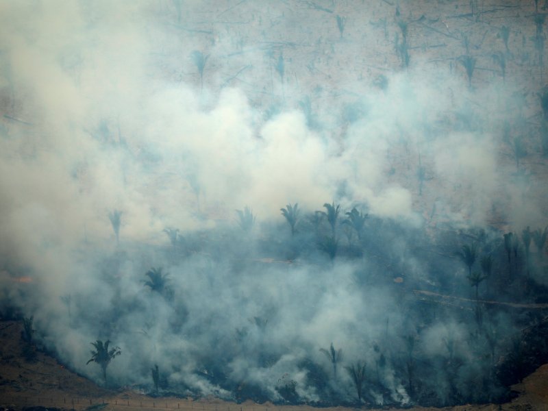 <p>Incendios y deforestación en el Amazonas</p>