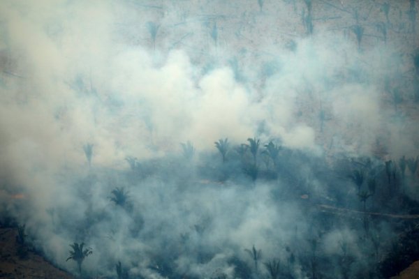 Incendios y deforestación en el Amazonas