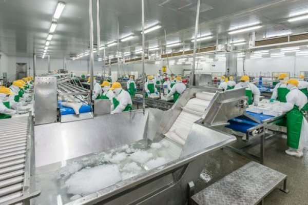 Pesquera Landes anuncia cierre de planta de Jibia en Talcahuano y desvinculación de 232 trabajadores
