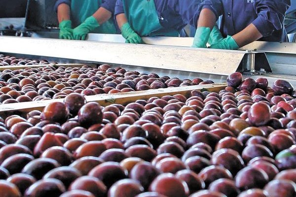 Los productos incluidos en la nueva ronda de aranceles que impuso Trump a China